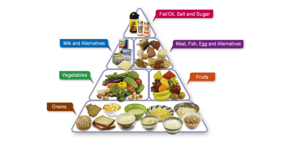 The Food Pyramid Quiz! Trivia - ProProfs Quiz